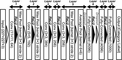 Analysis based on neural representation of natural object surfaces to elucidate the mechanisms of a trained AlexNet model